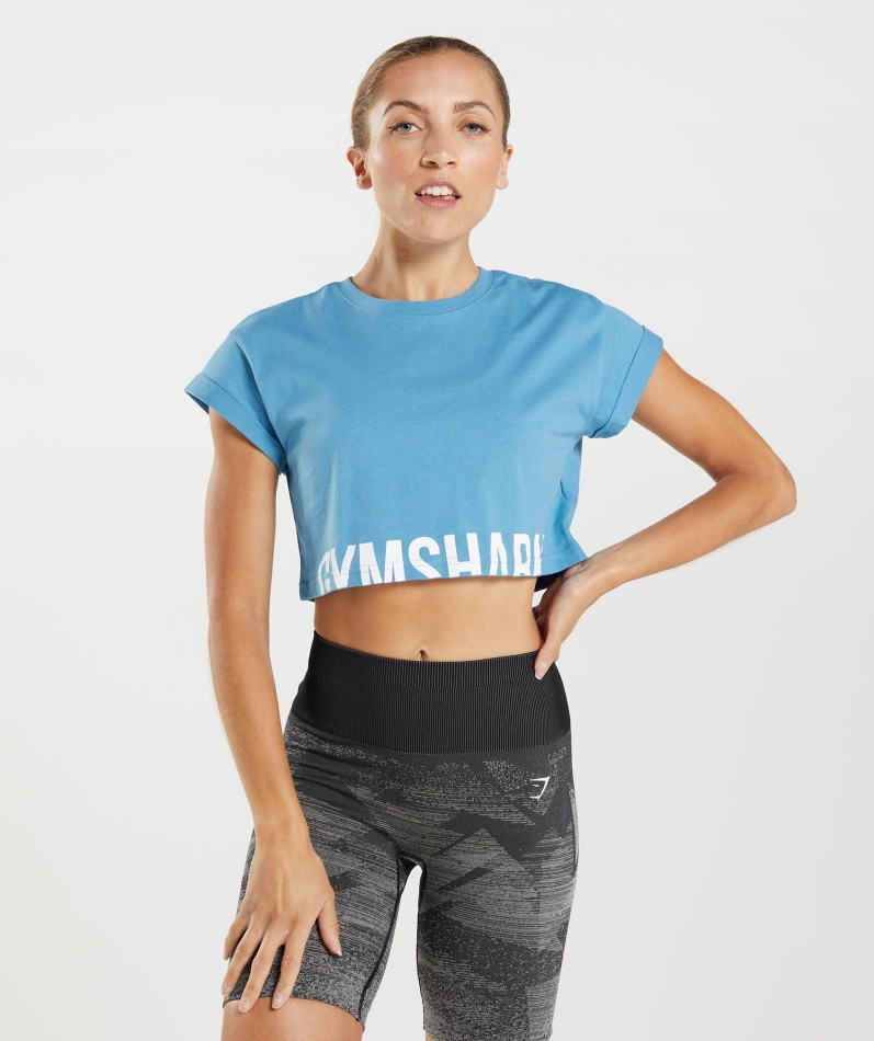 Gymshark Fraksjon Crop Top Kystblå