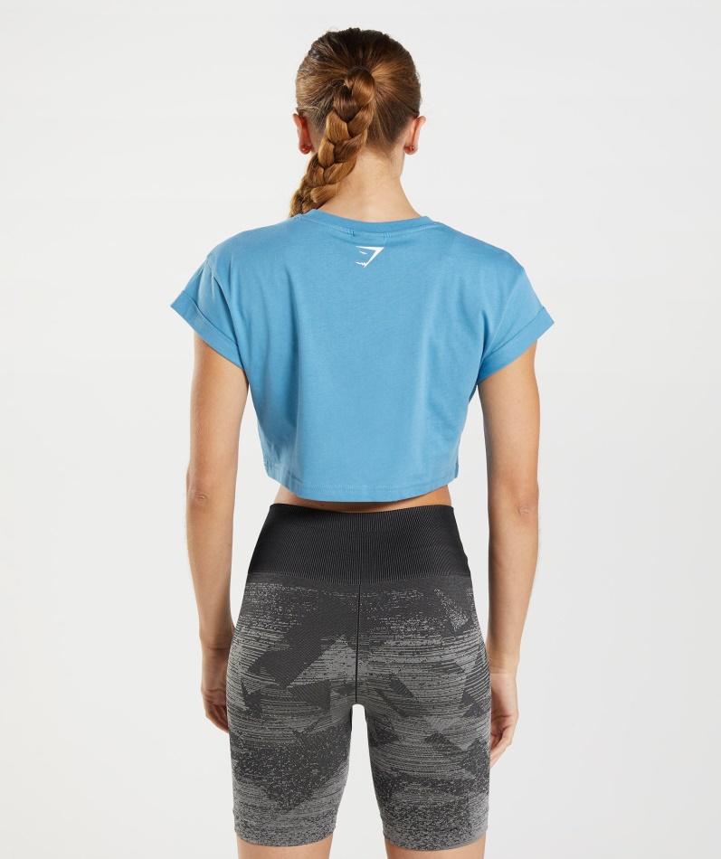 Gymshark Fraksjon Crop Top Kystblå