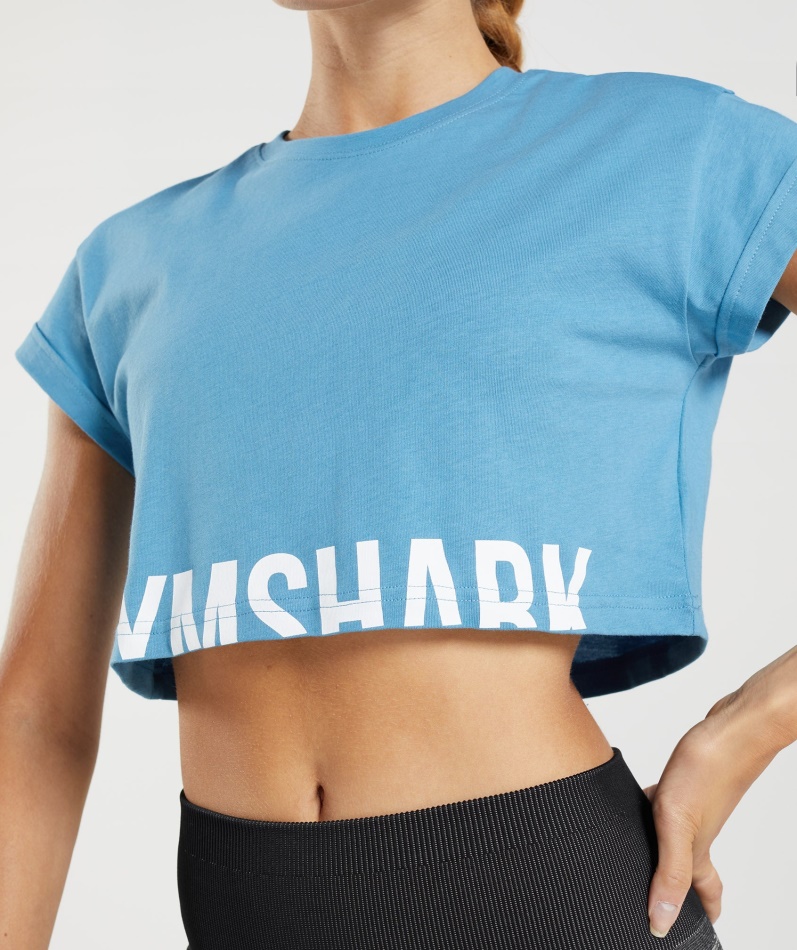 Gymshark Fraksjon Crop Top Kystblå