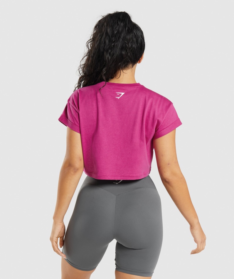 Gymshark Fraksjon Crop Top Dragerosa