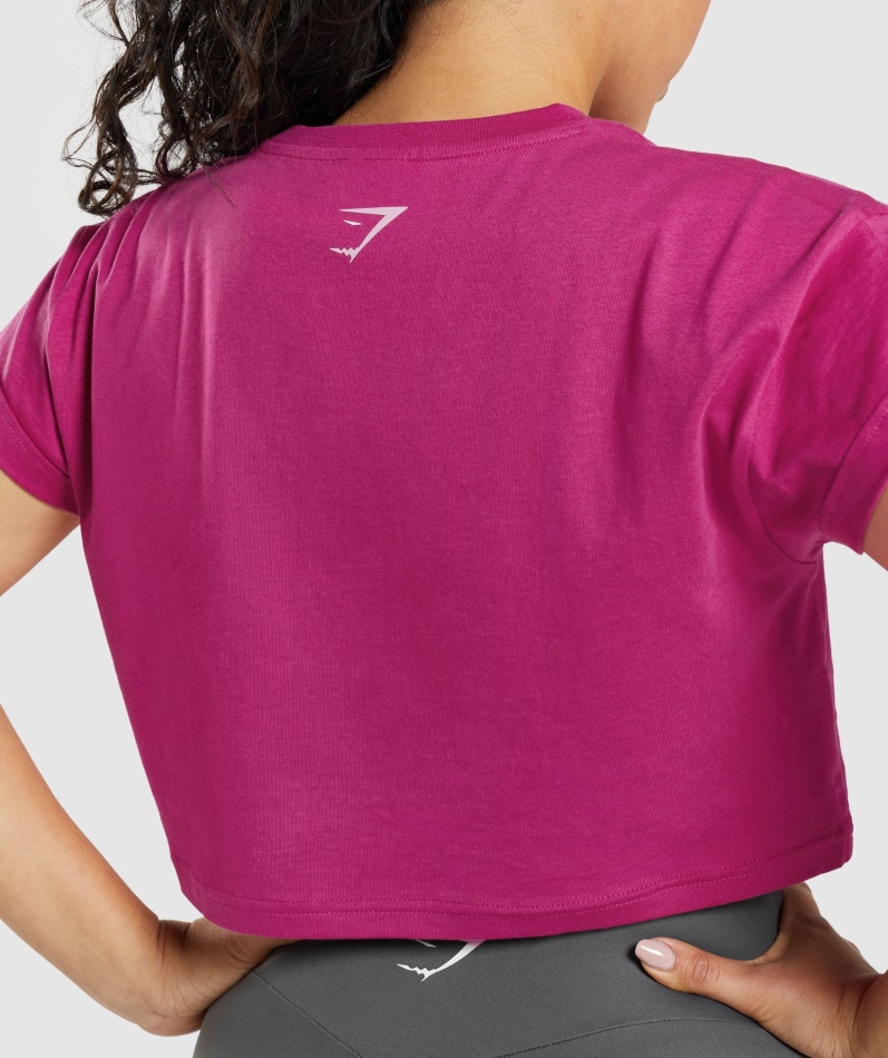 Gymshark Fraksjon Crop Top Dragerosa