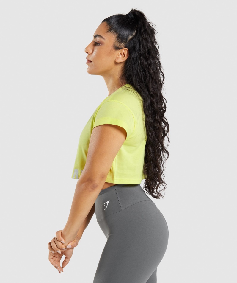 Gymshark Fraksjon Crop Top Ildflue Grønn
