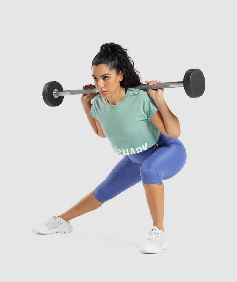 Gymshark Fraction Crop Top Maya Blue