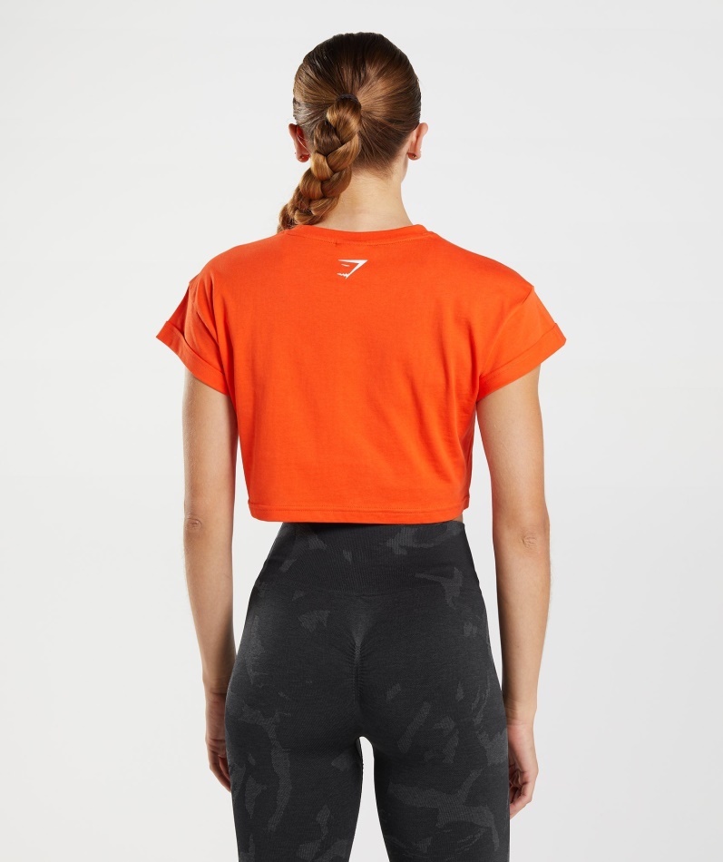 Gymshark Fraksjon Crop Top Pepper Rød