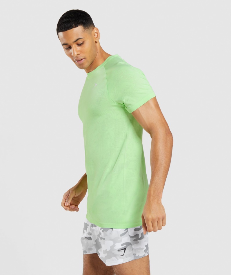Gymshark Geo Sømløs T-skjorte Bali Grønn-hvit
