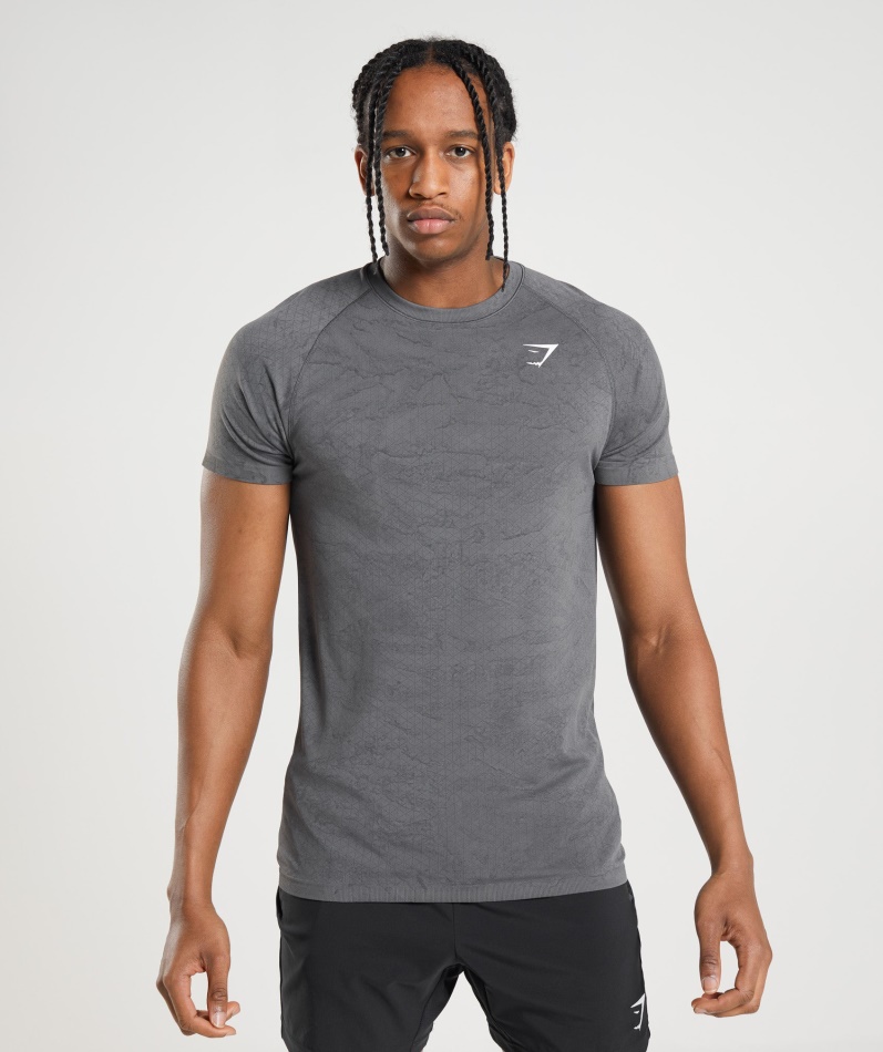 Gymshark Geo Sømløs T-skjorte Koksgrå-svart