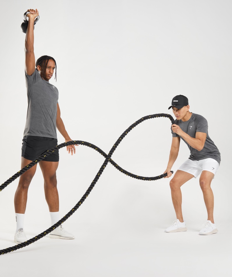 Gymshark Geo Sømløs T-skjorte Koksgrå-svart