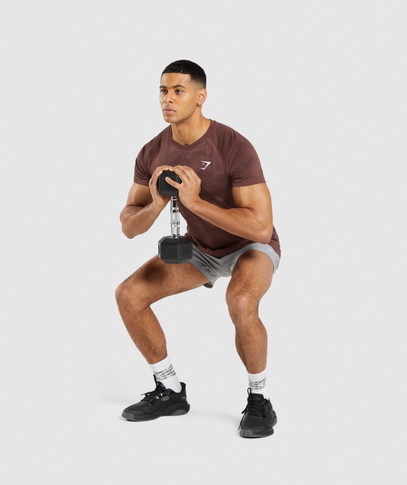 Gymshark Geo Sømløs T-skjorte Kirsebærbrun-svart
