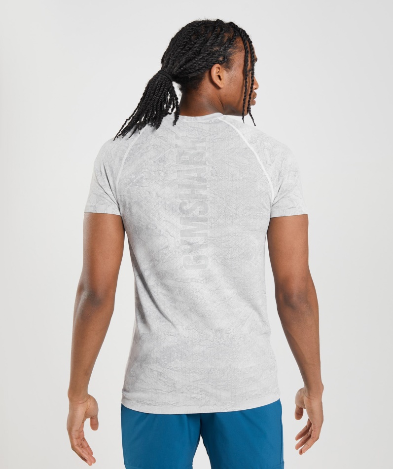 Gymshark Geo Sømløs T-skjorte Off White-lysegrå
