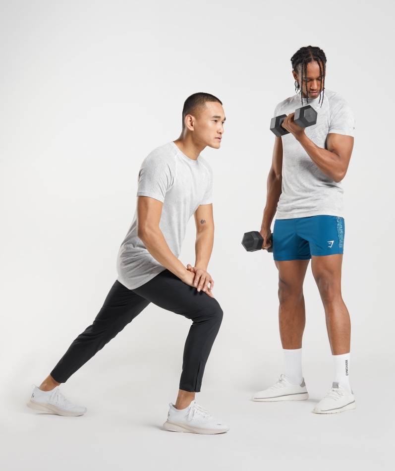 Gymshark Geo Sømløs T-skjorte Off White-lysegrå