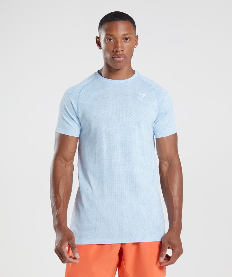 Gymshark Geo Sømløs T-skjorte Hvit-månestein Blå