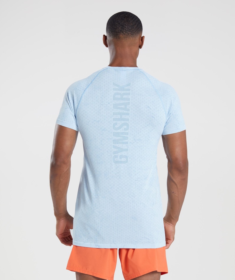 Gymshark Geo Sømløs T-skjorte Hvit-månestein Blå