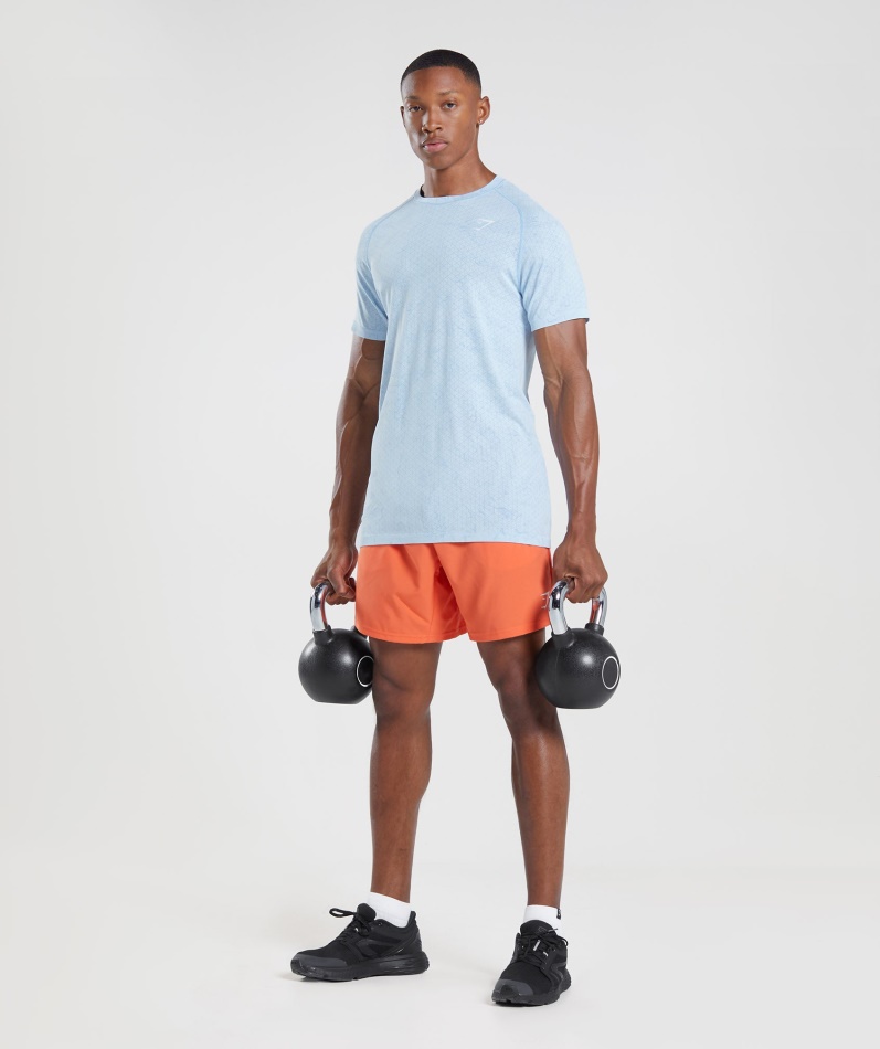 Gymshark Geo Sømløs T-skjorte Hvit-månestein Blå