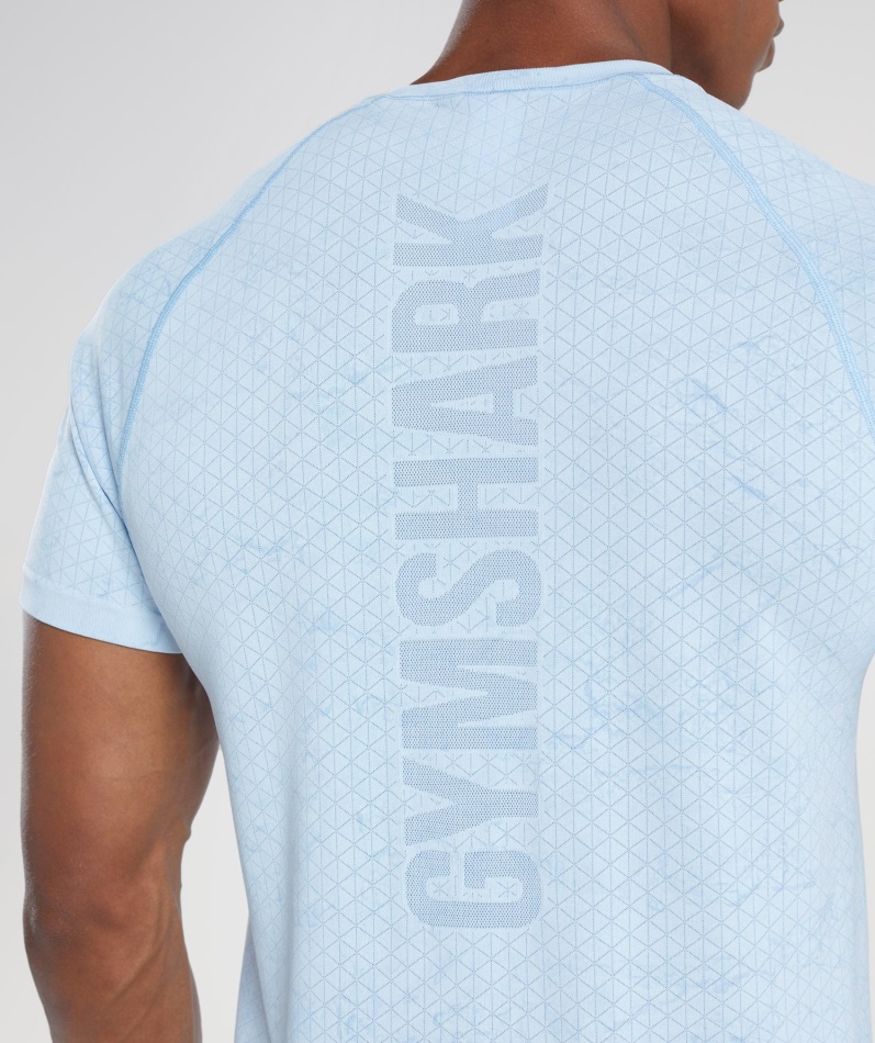 Gymshark Geo Sømløs T-skjorte Hvit-månestein Blå