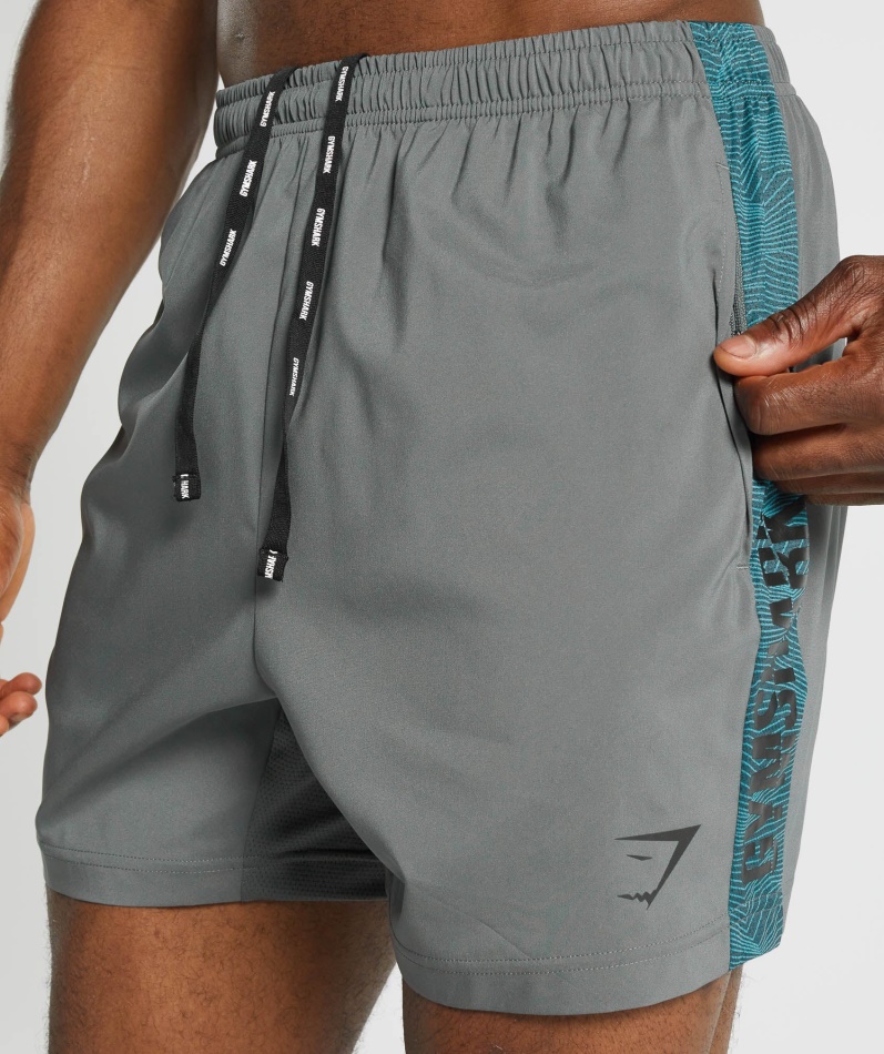 Gymshark Grafisk Sportsshorts Grå