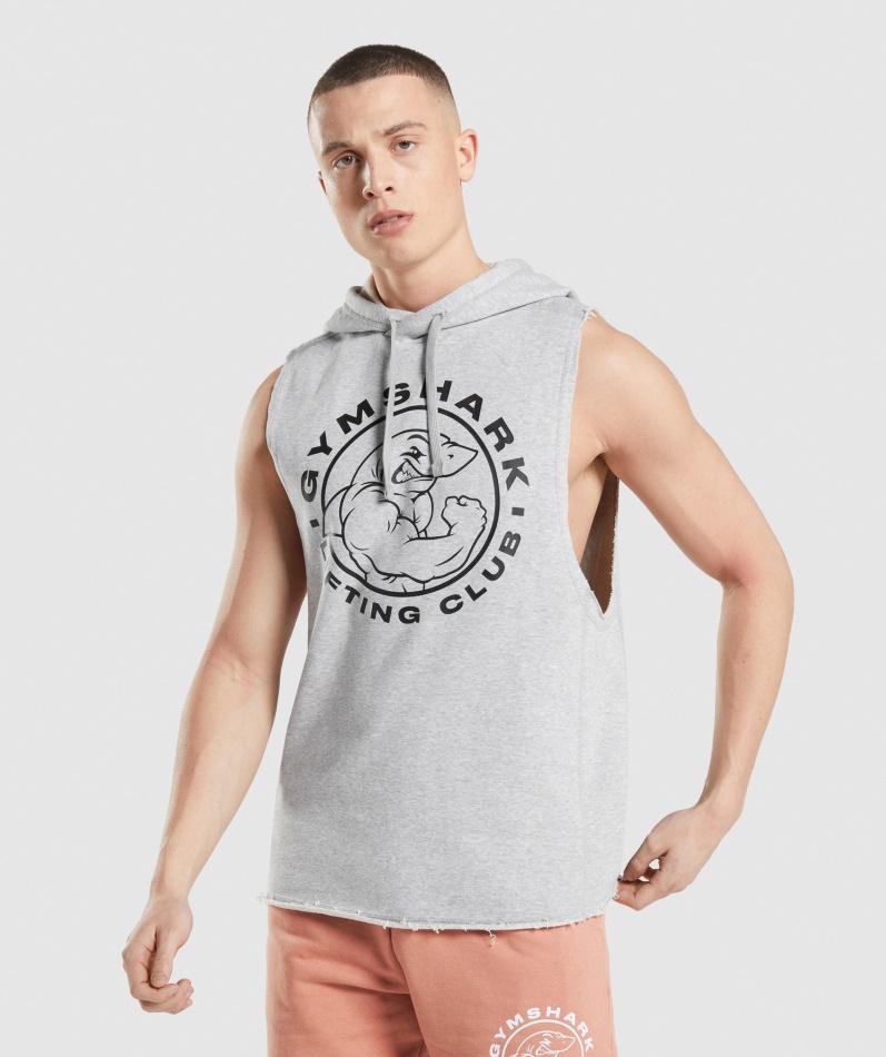 Gymshark Legacy Drop Arm Hettegenser Lys Grå Core Merg