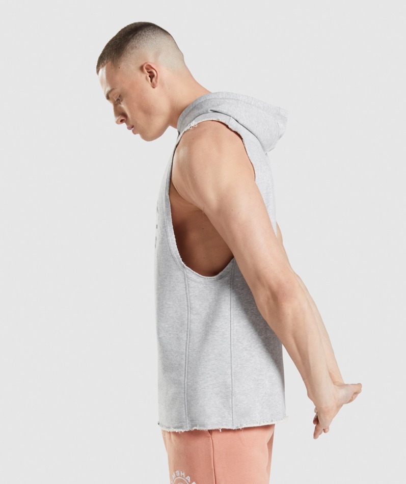 Gymshark Legacy Drop Arm Hettegenser Lys Grå Core Merg