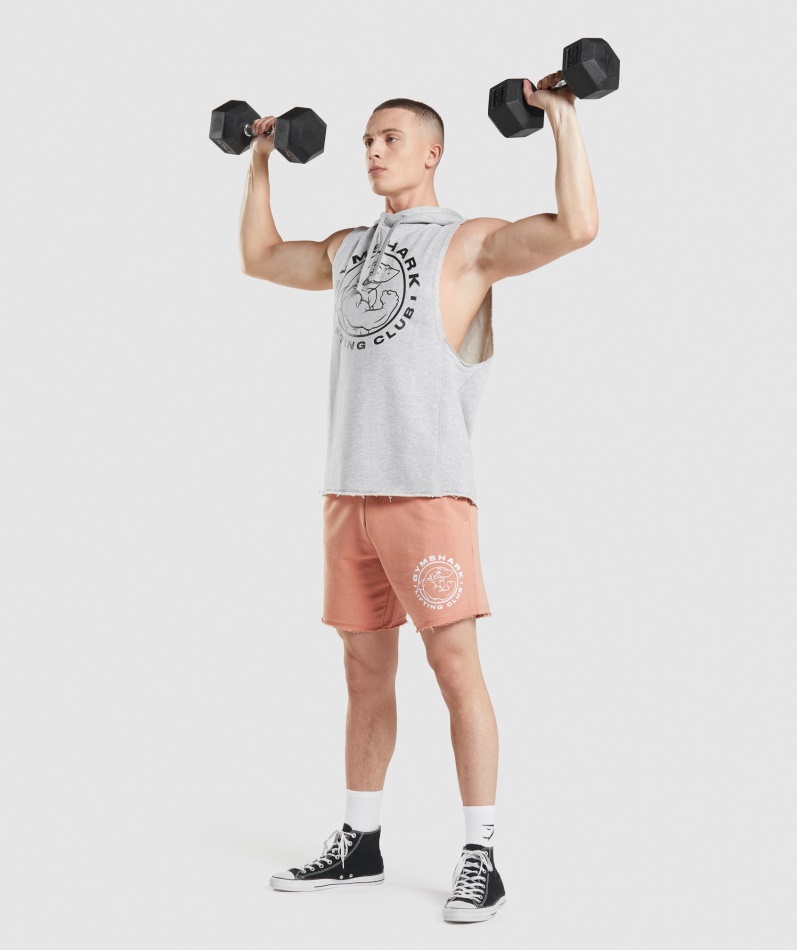 Gymshark Legacy Drop Arm Hettegenser Lys Grå Core Merg