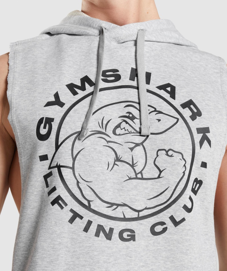 Gymshark Legacy Drop Arm Hettegenser Lys Grå Core Merg