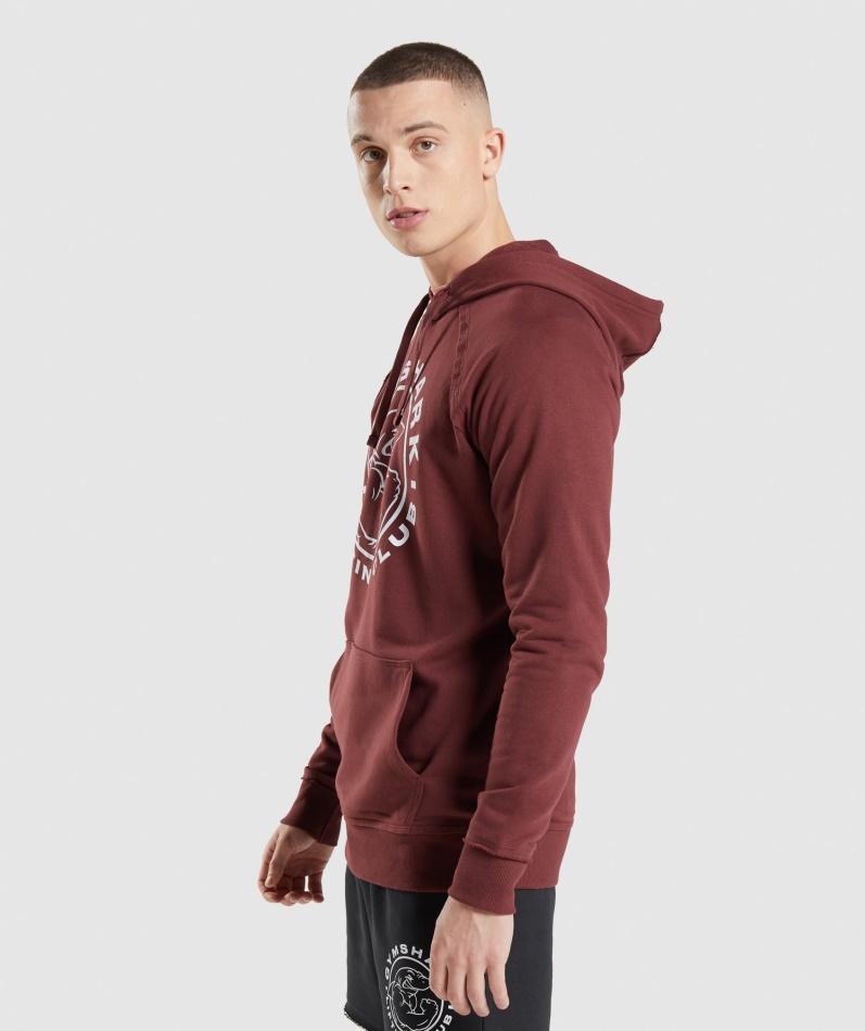 Gymshark Legacy Hettegenser Kirsebærbrun