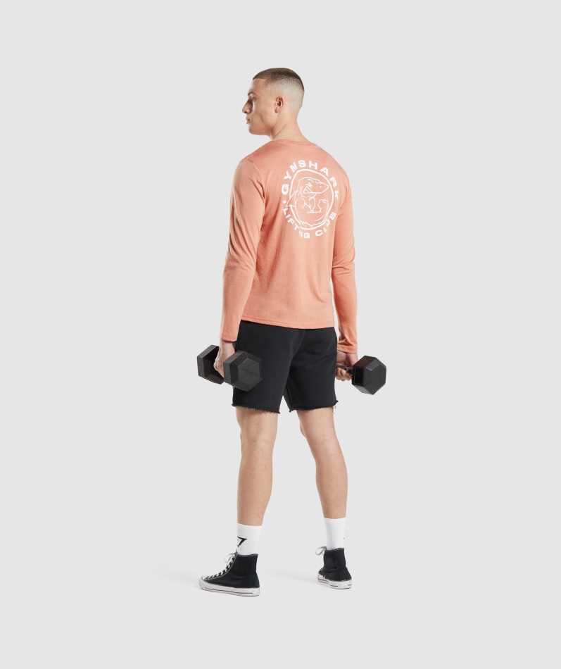 Gymshark Legacy Langermet T-skjorte Nevada Rosa