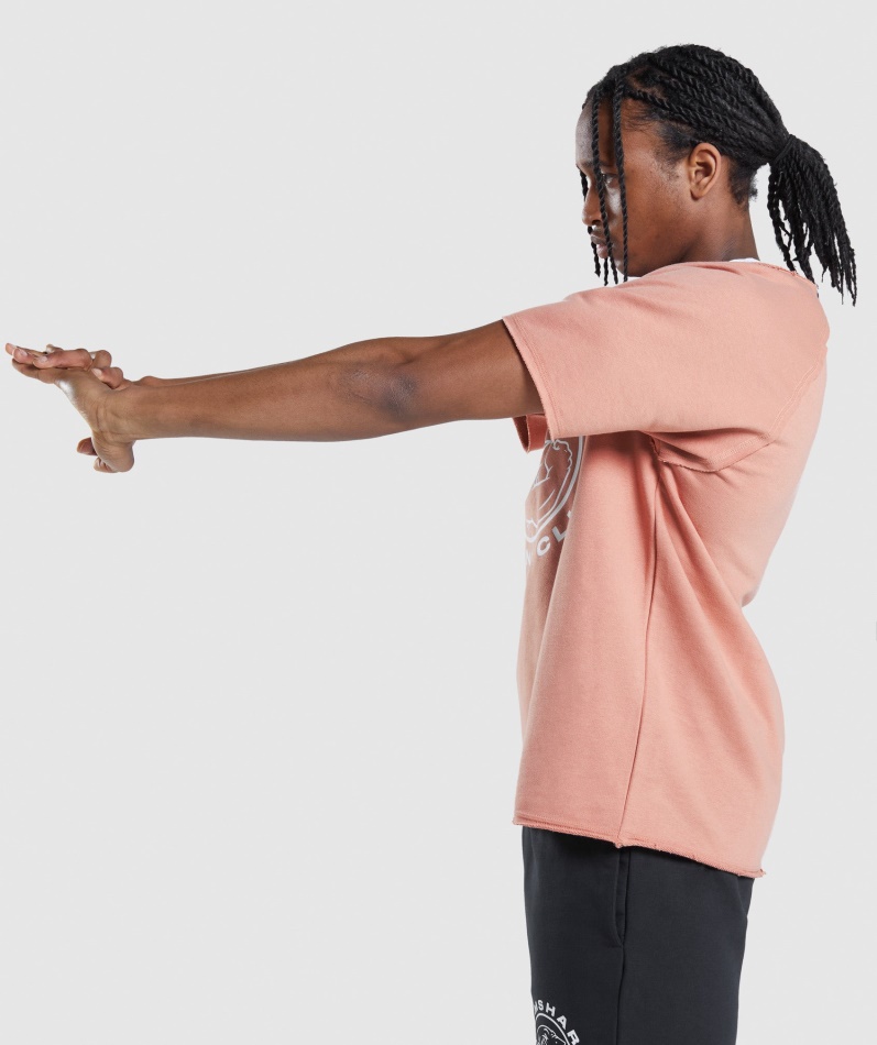 Gymshark Legacy Filletopp Nevada Rosa