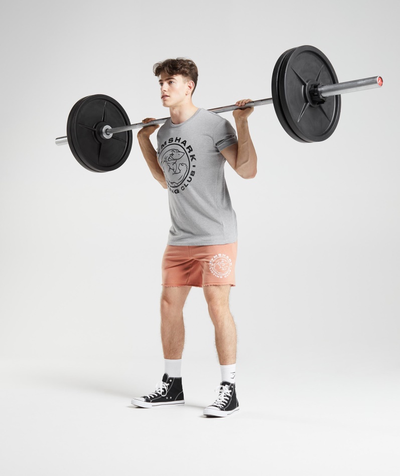 Gymshark Legacy Shorts Nevada Rosa