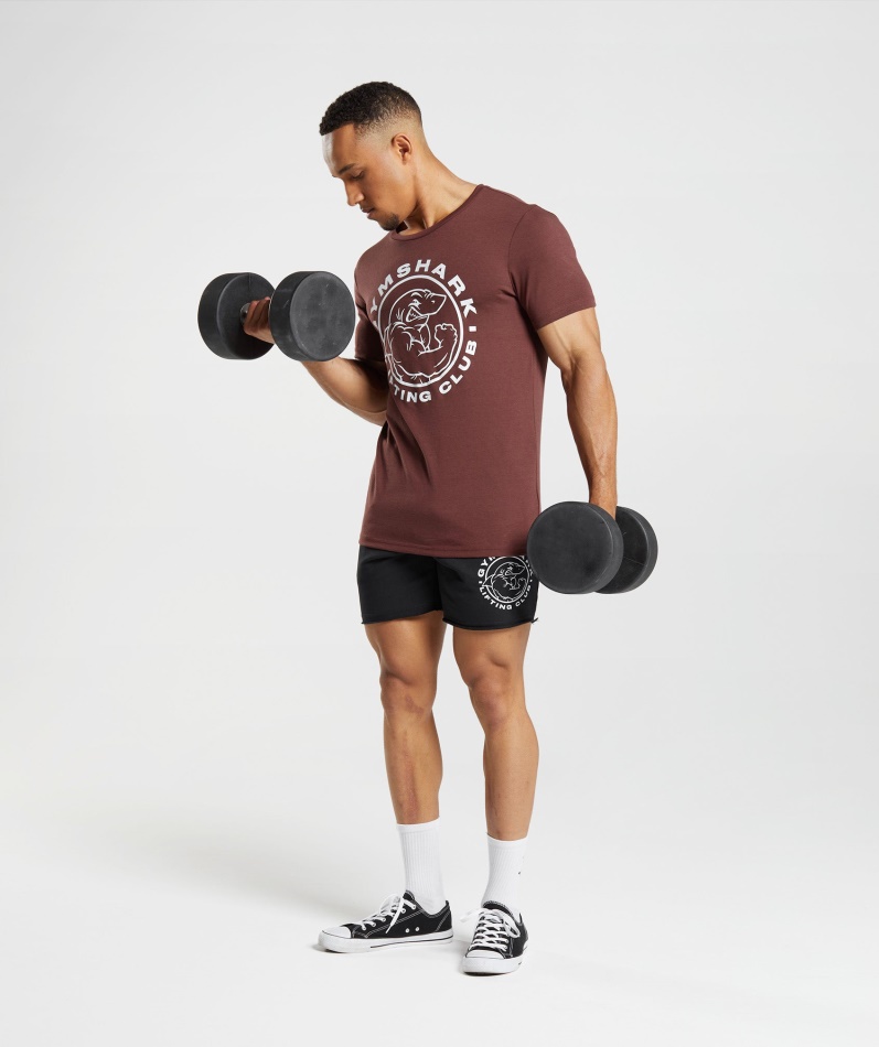 Gymshark Legacy T-skjorte Kirsebærbrun