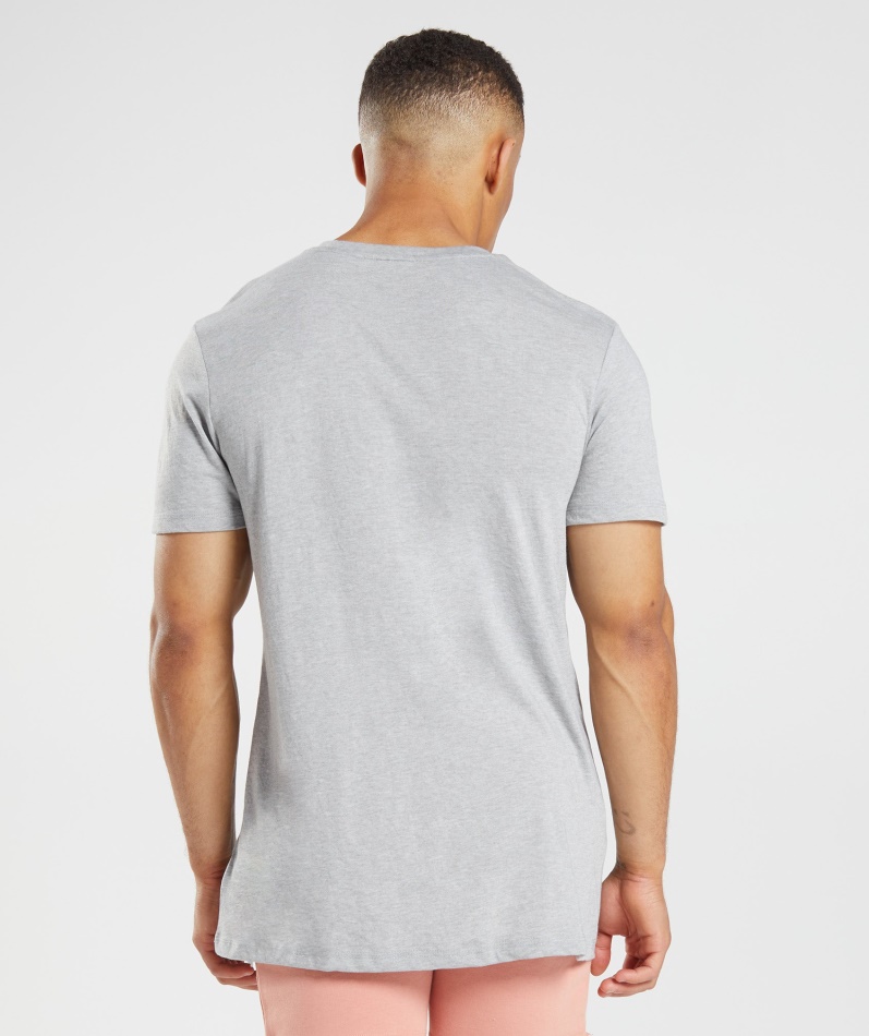 Gymshark Legacy T-skjorte Lys Grå Kjernemergel