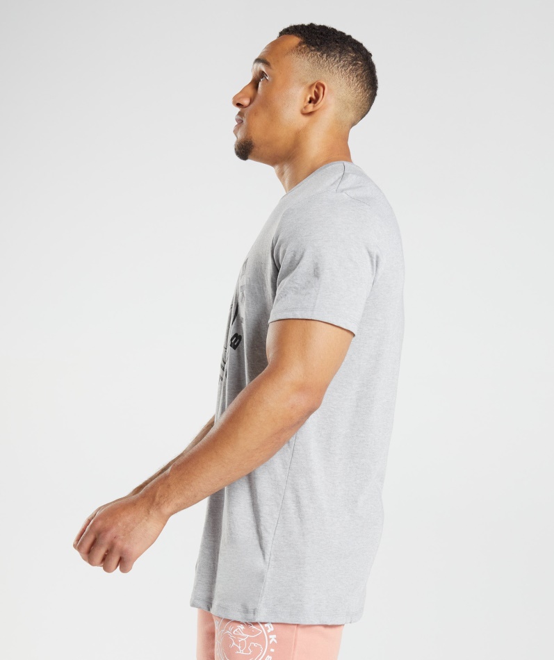 Gymshark Legacy T-skjorte Lys Grå Kjernemergel