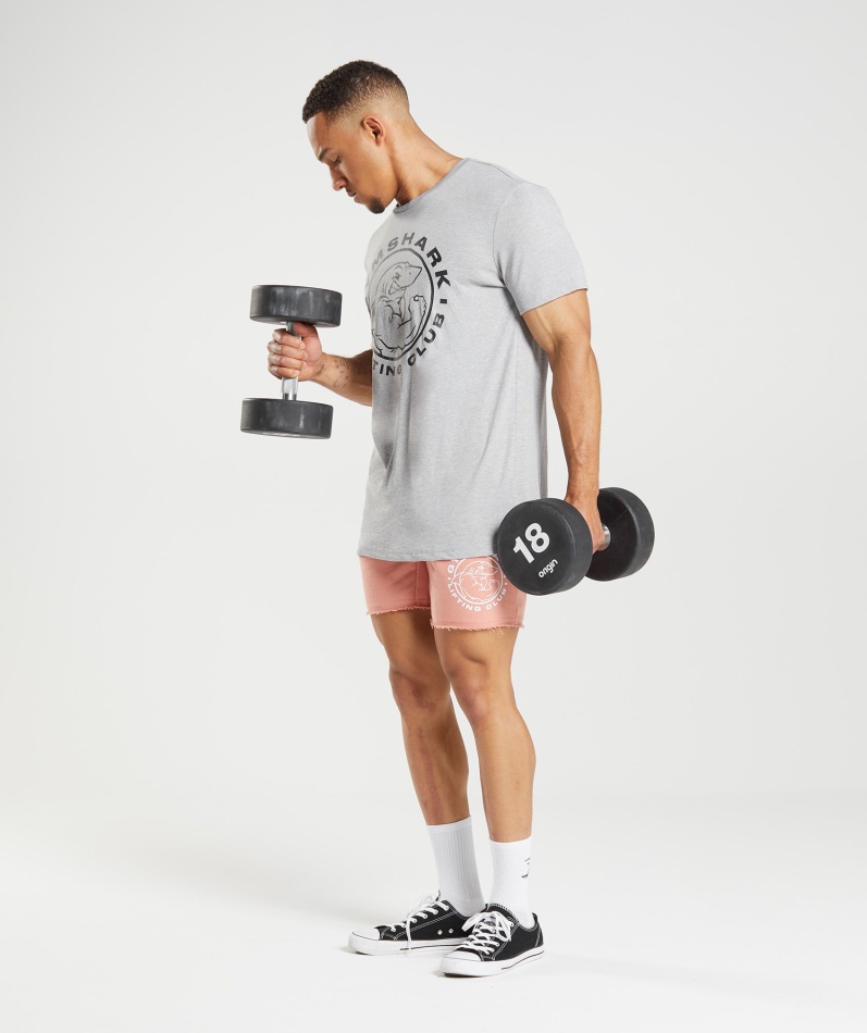 Gymshark Legacy T-skjorte Lys Grå Kjernemergel