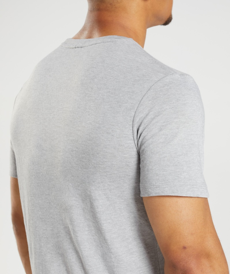 Gymshark Legacy T-skjorte Lys Grå Kjernemergel