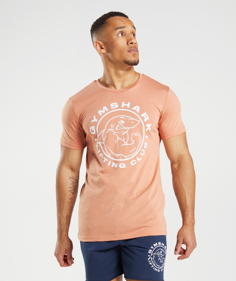 Gymshark Legacy T-skjorte Nevada Rosa