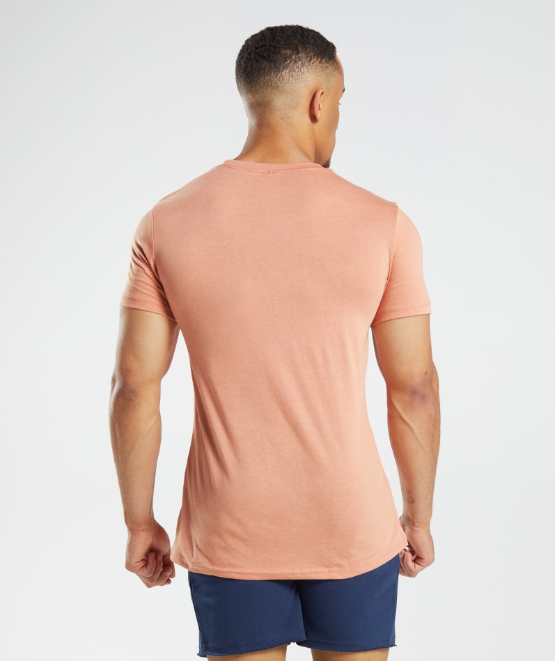 Gymshark Legacy T-skjorte Nevada Rosa