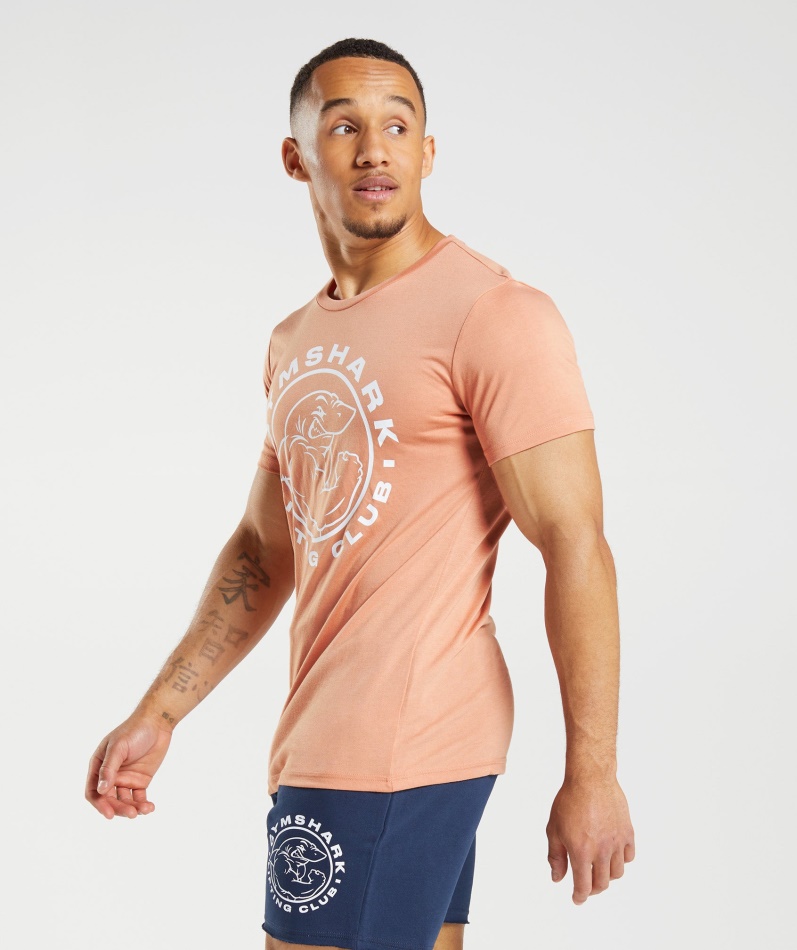 Gymshark Legacy T-skjorte Nevada Rosa