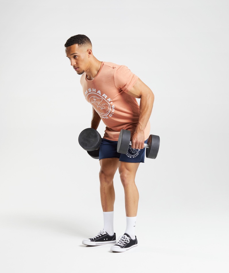 Gymshark Legacy T-skjorte Nevada Rosa