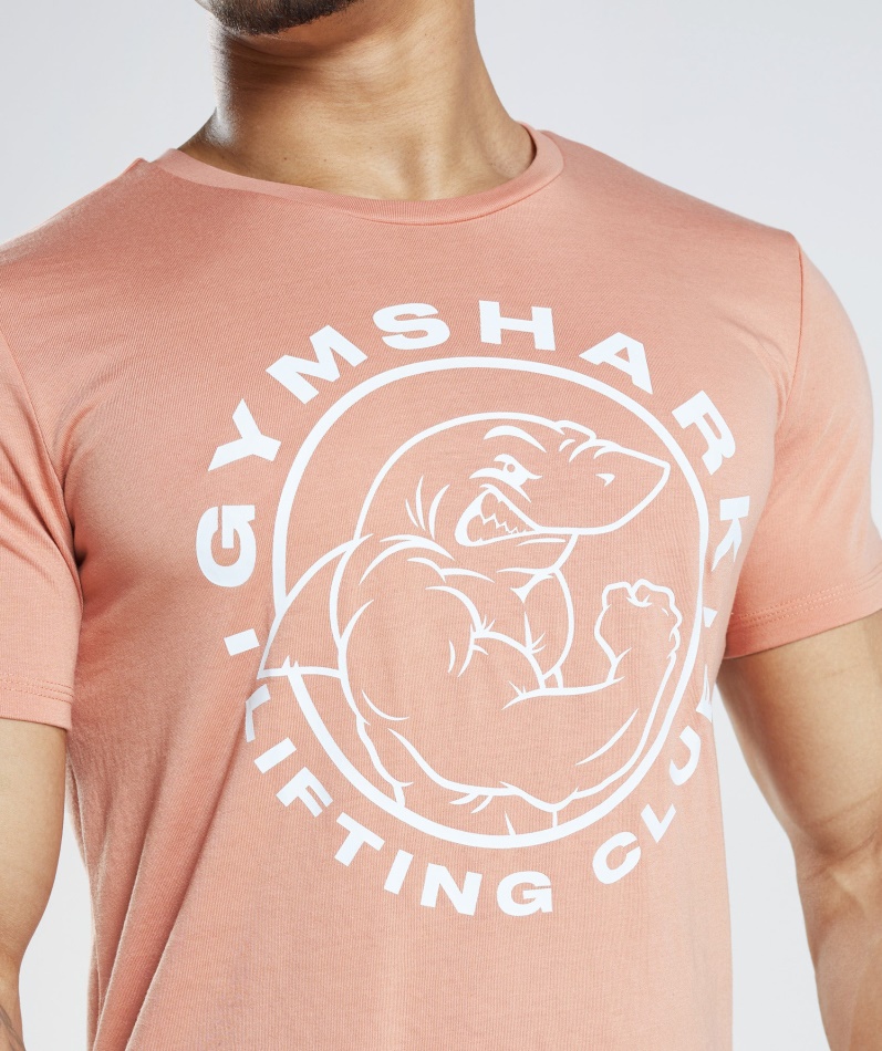 Gymshark Legacy T-skjorte Nevada Rosa