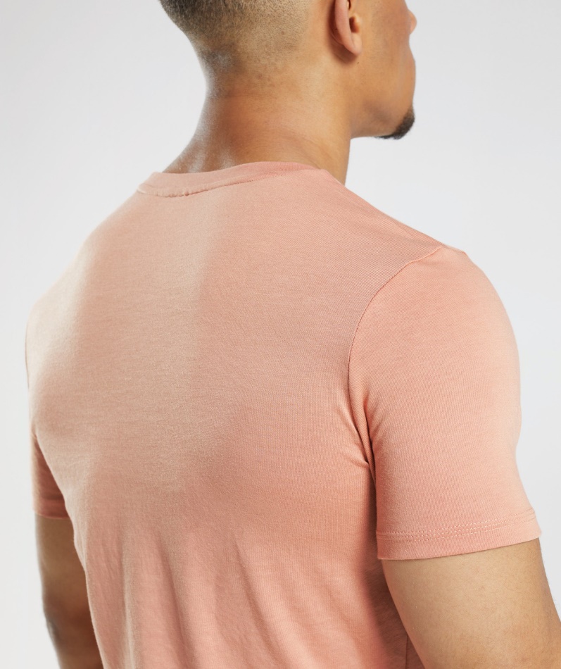Gymshark Legacy T-skjorte Nevada Rosa