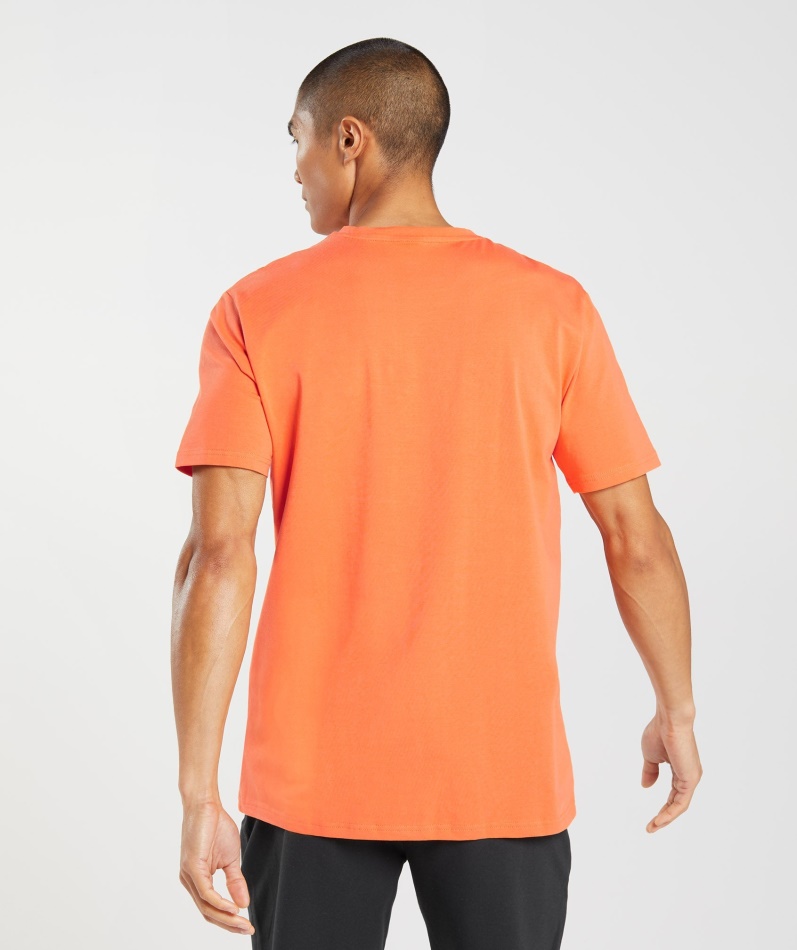 Gymshark Kontur T-skjorte Pikant Oransje