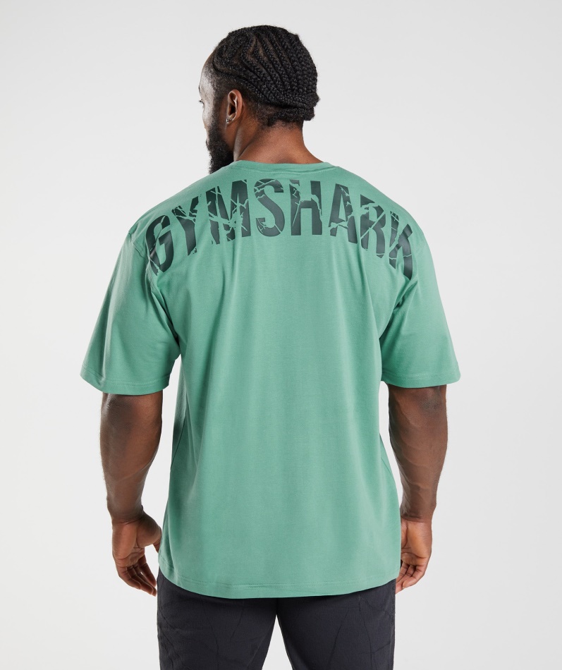 Gymshark Power T-skjorte Alpingrønn