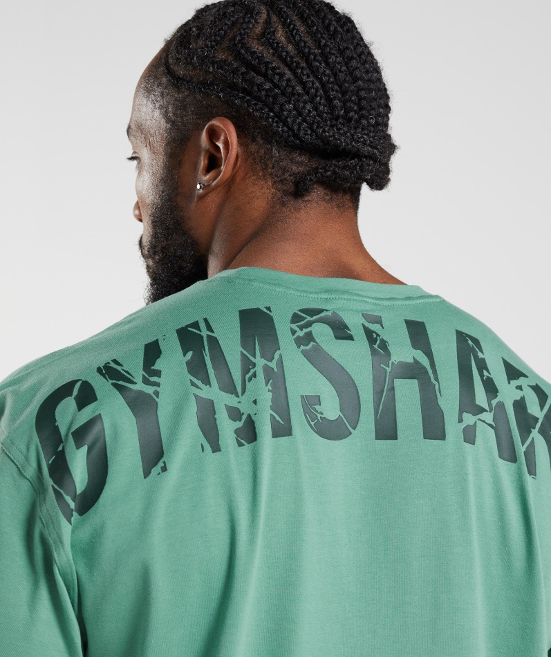 Gymshark Power T-skjorte Alpingrønn
