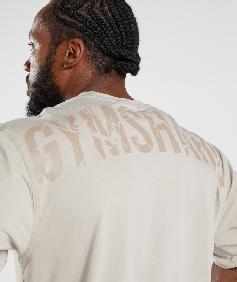 Gymshark Power T-skjorte Pebble Grå