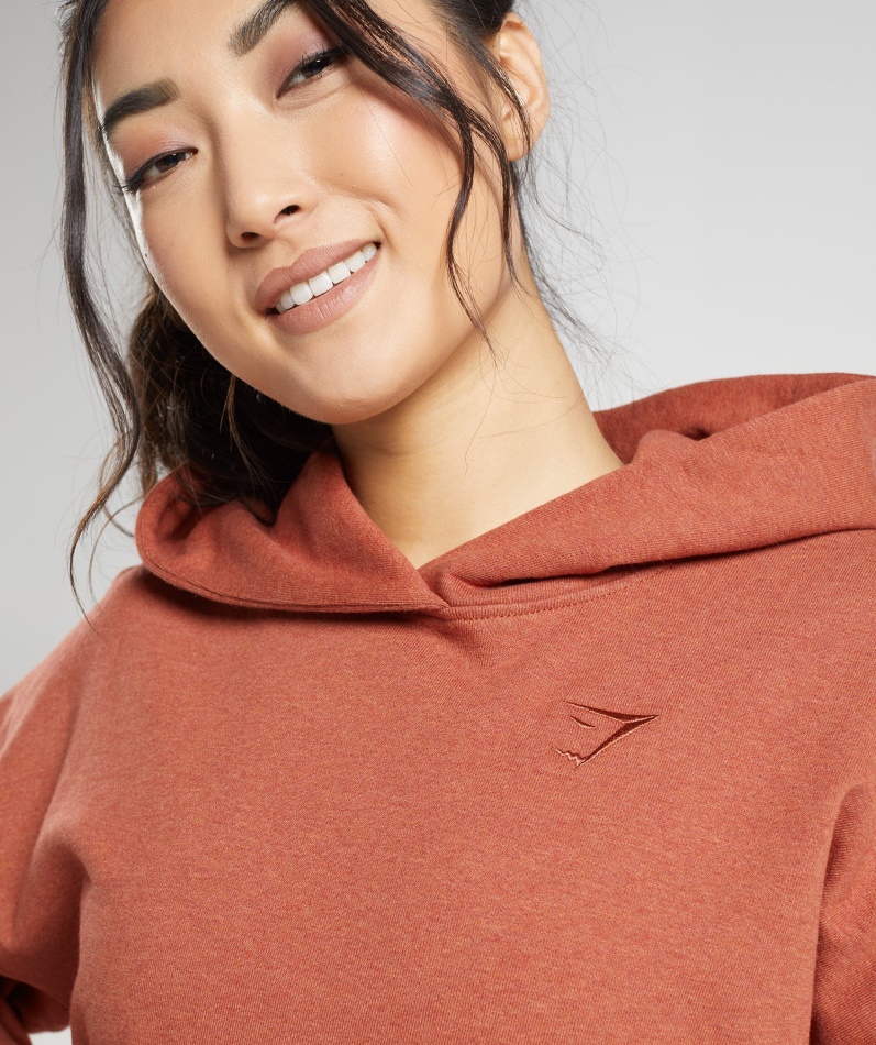 Gymshark Hviledag Svette Hettegenser Kanelbrun Mergel
