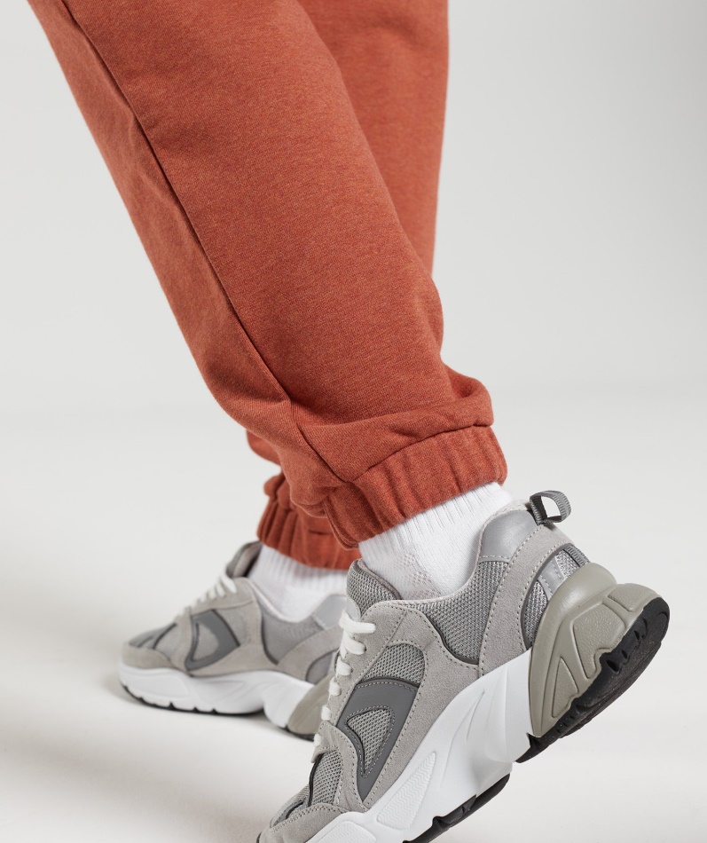 Gymshark Hviledag Svette Joggere Kanelbrun Mergel