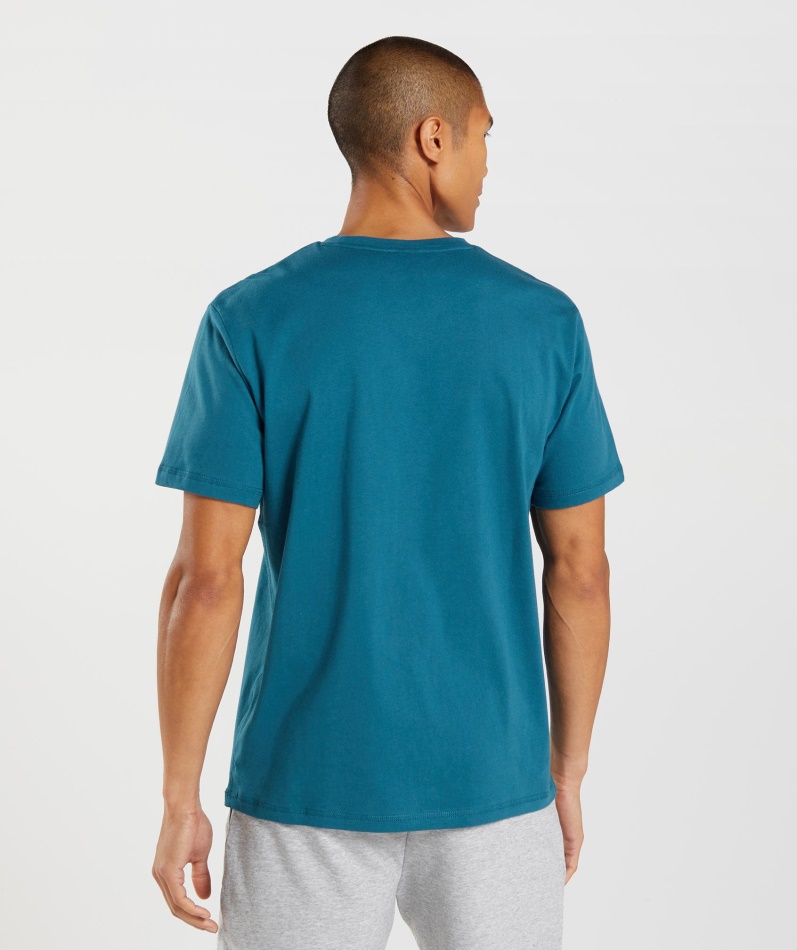 Gymshark Sharkhead Infill T-skjorte Atlantic Blue