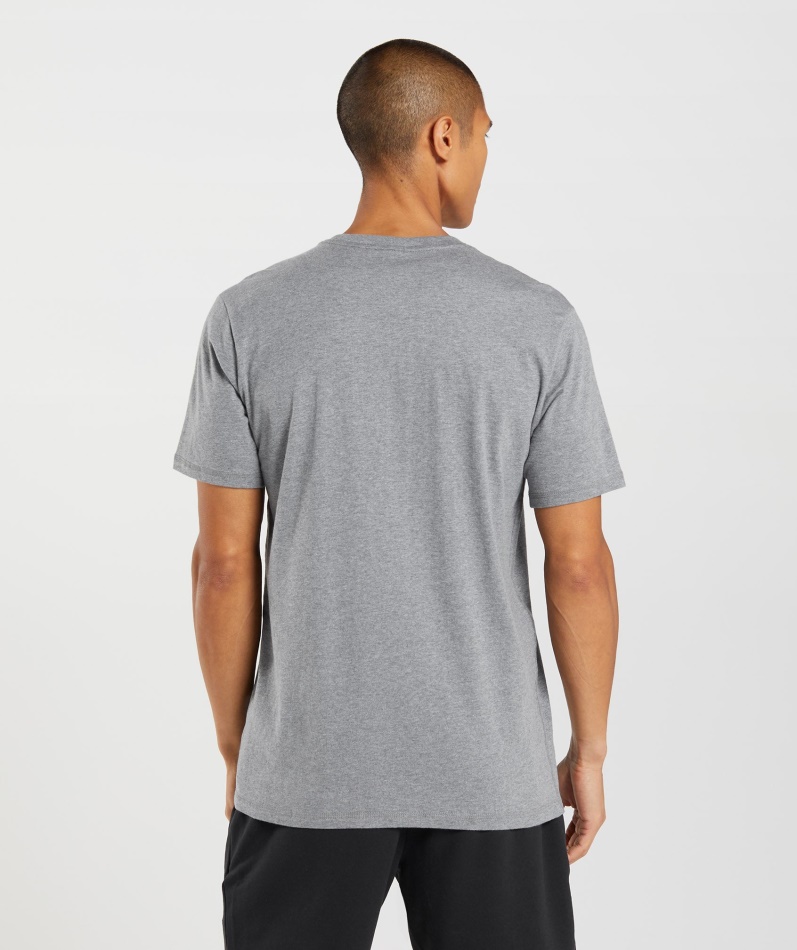 Gymshark Sharkhead Infill T-skjorte Koksgrå Mergel