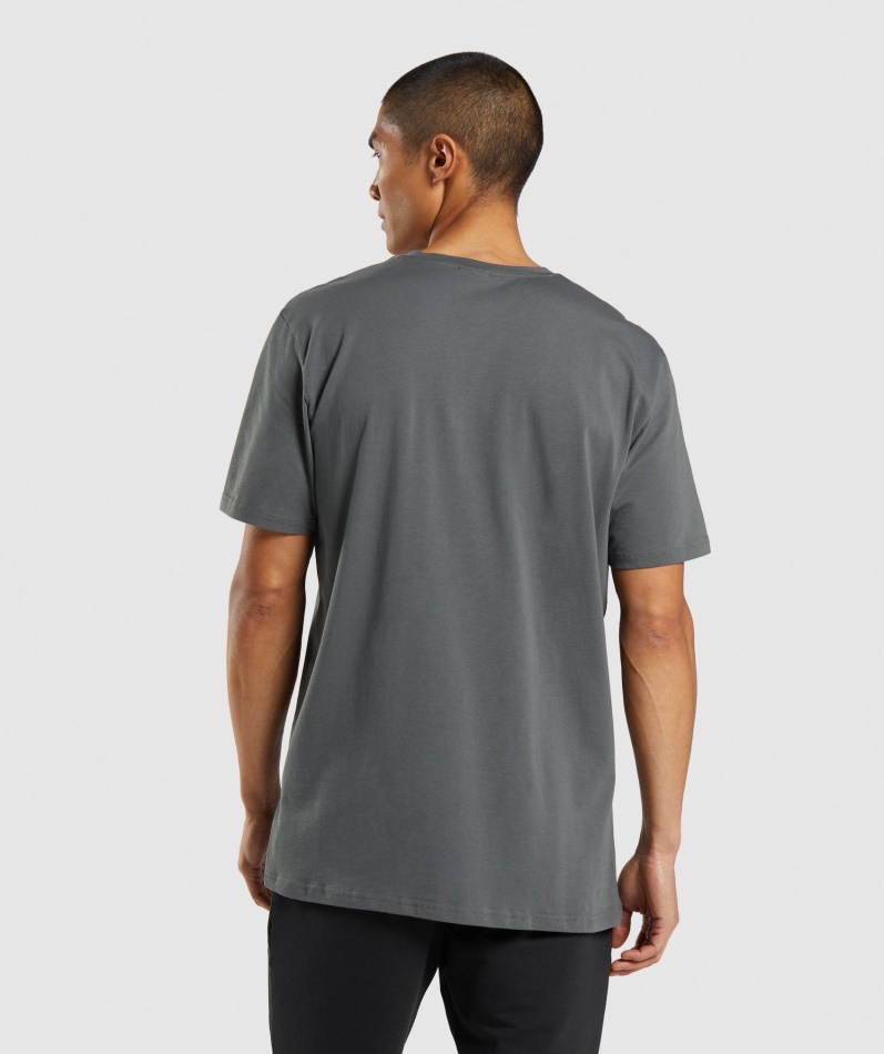 Gymshark Sharkhead Infill T-skjorte Kull