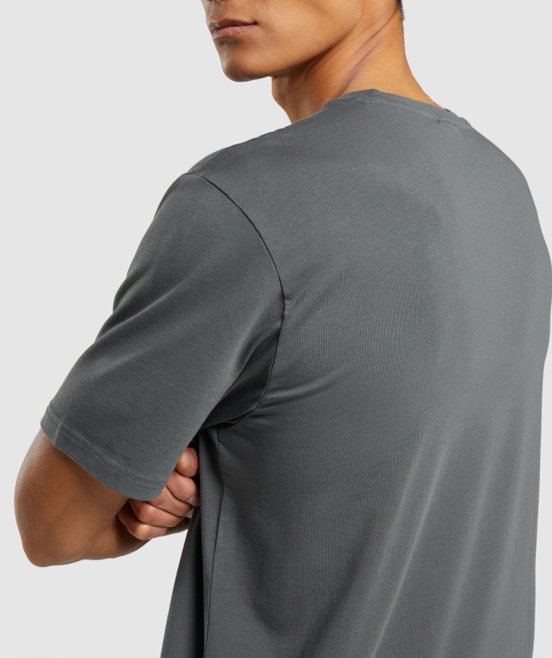 Gymshark Sharkhead Infill T-skjorte Kull