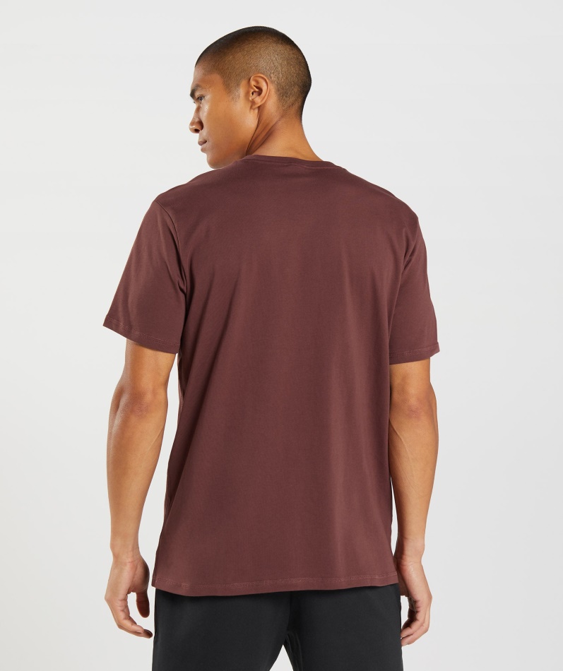 Gymshark Sharkhead Infill T-skjorte Kirsebærbrun