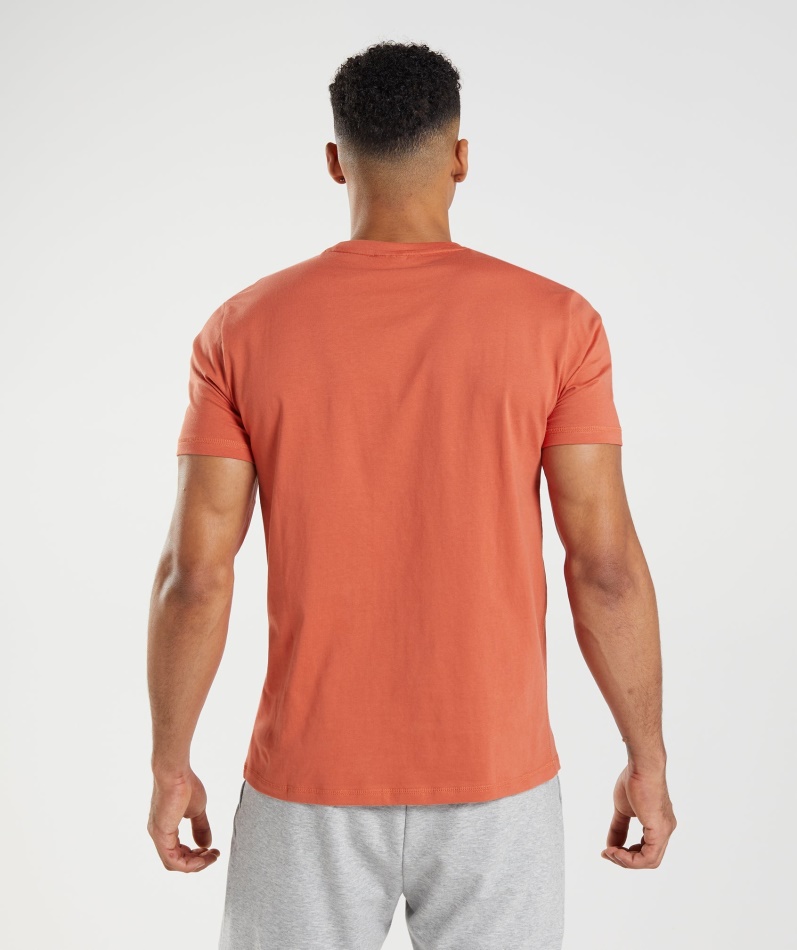 Gymshark Sharkhead Infill T-skjorte Storm Rød